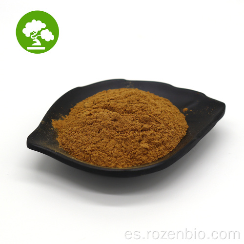 Extracto de semilla de nabo blanco, extracto de rábano blanco en polvo
